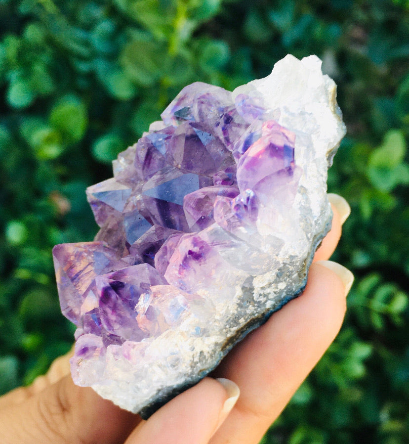 Raw Amethyst Cluster (Small)