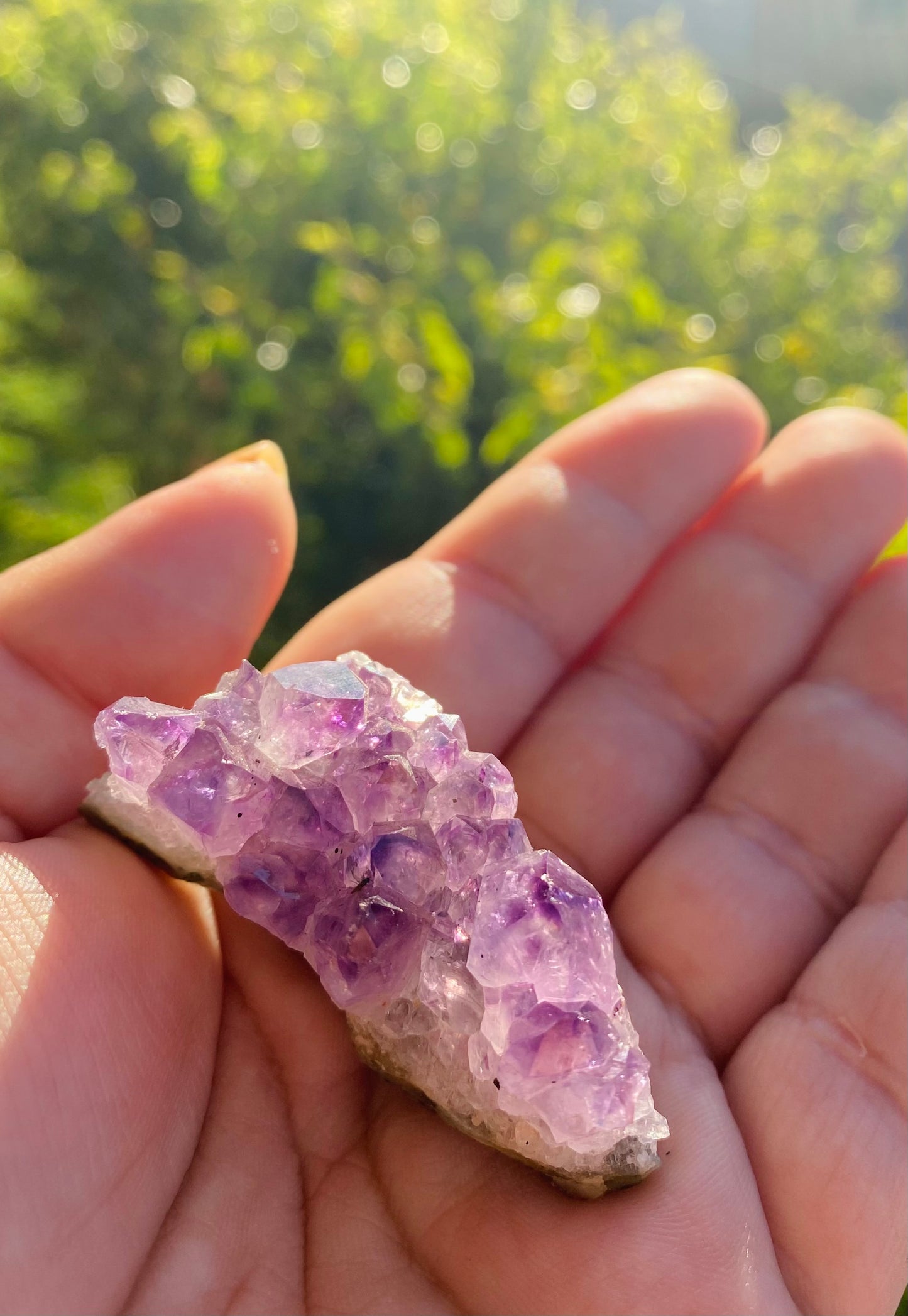 Raw Amethyst Cluster (Small)