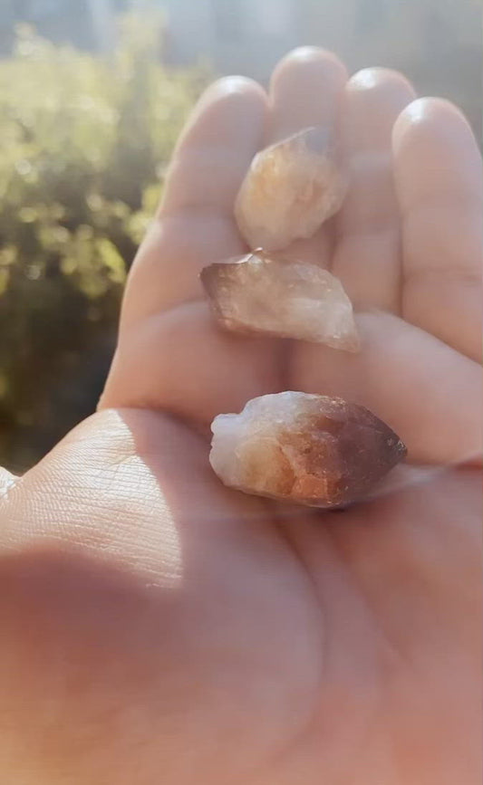 Citrine Points (Small)