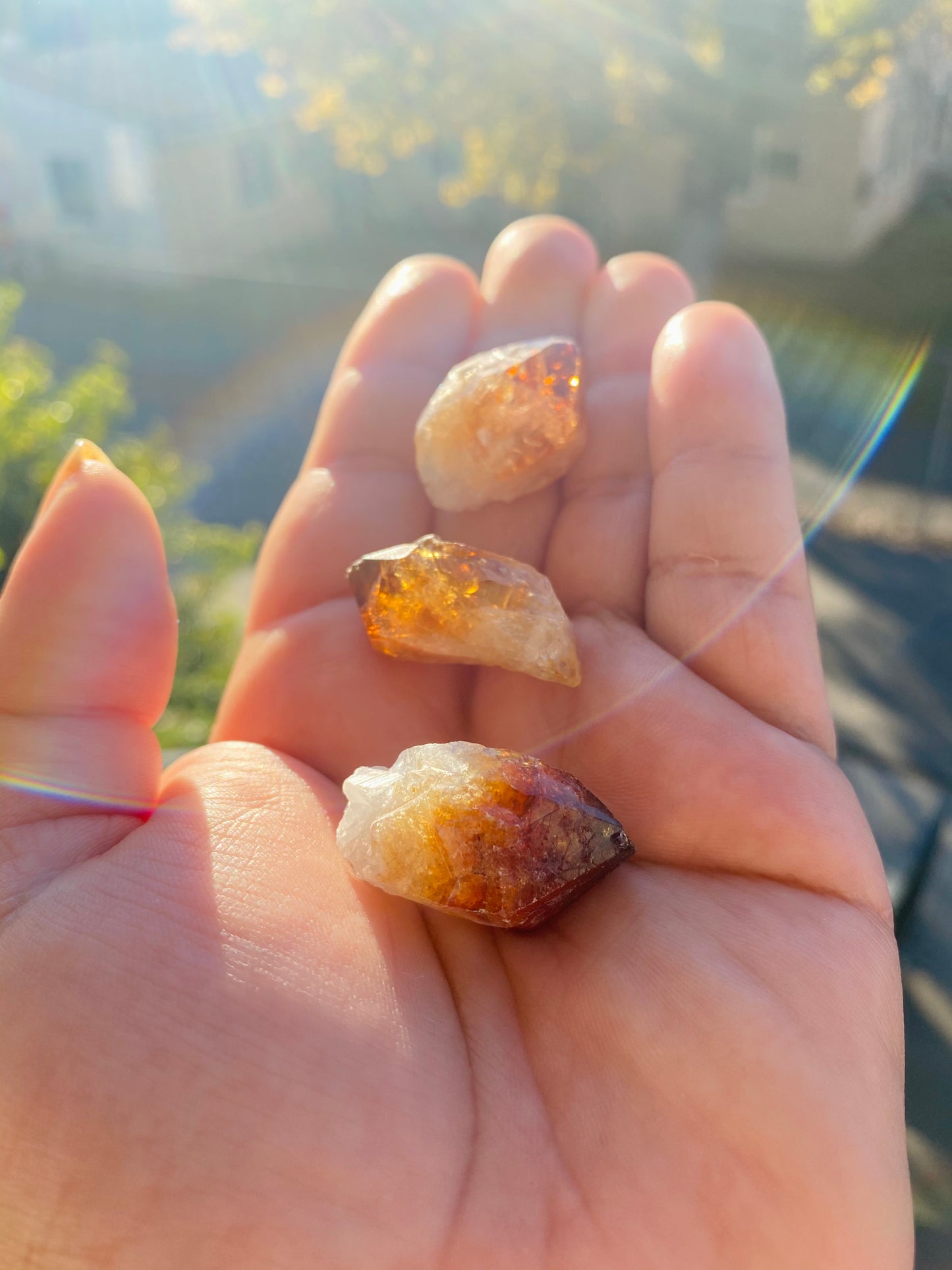 Citrine Points (Small)